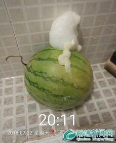 绿泡泡吃瓜,揭秘娱乐圈幕后故事 第3张 绿泡泡吃瓜,揭秘娱乐圈幕后故事 第3张